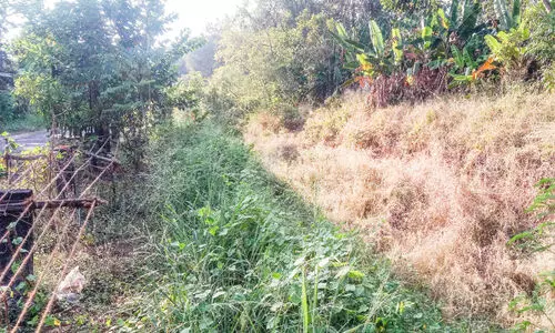 കു​ടി​വെ​ള്ളം കി​ട്ടാ​തെ വി​വി​ധ പ​ഞ്ചാ​യ​ത്തു​ക​ൾ