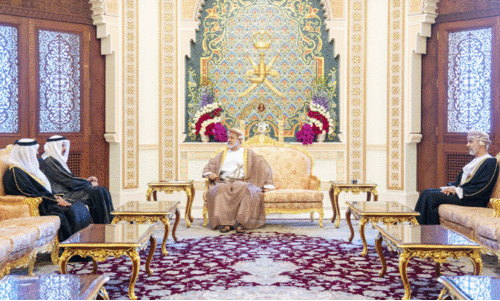 യു.എ.ഇ ഫെഡറൽ നാഷനൽ കൗൺസിൽ സ്പീക്കർ സുൽത്താനുമായി കൂടിക്കാഴ്ച നടത്തി