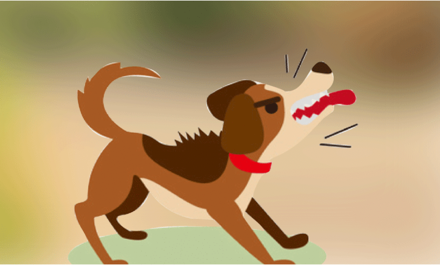 ജി​ല്ല​യി​ല്‍ കുറയാതെ തെ​രു​വു​നാ​യ് ശ​ല്യം