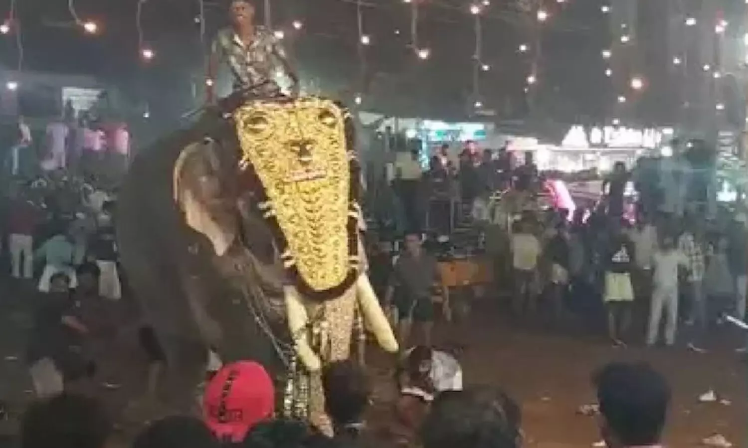 പുതിയങ്ങാടിയിൽ അനുവദിച്ചതിൽ കൂടുതൽ സമയം ആനകളെ എഴുന്നള്ളിച്ചുവെന്ന്​ ഹൈകോടതി