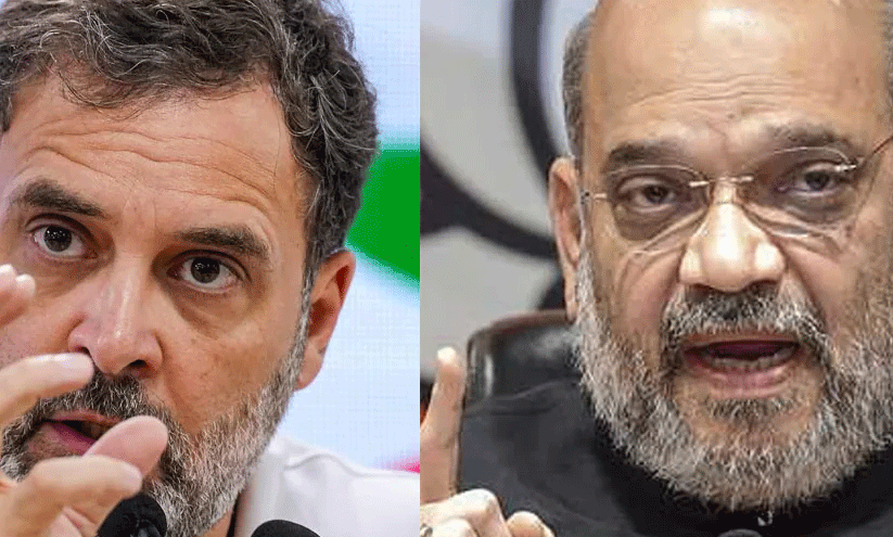 രാഹുലിനെതിരായ മാനനഷ്ടക്കേസിന് സുപ്രീംകോടതി സ്റ്റേ