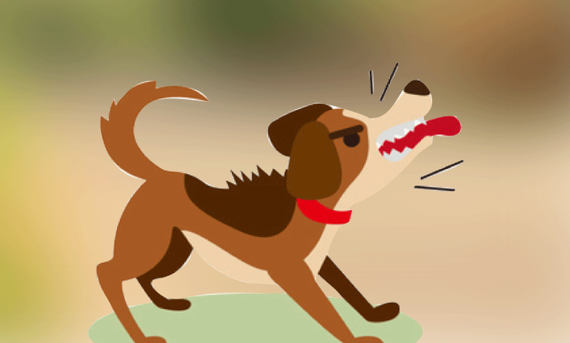 ജി​ല്ല​യി​ല്‍ കുറയാതെ തെ​രു​വു​നാ​യ് ശ​ല്യം