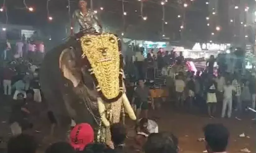 പുതിയങ്ങാടിയിൽ അനുവദിച്ചതിൽ കൂടുതൽ സമയം ആനകളെ എഴുന്നള്ളിച്ചുവെന്ന്​ ഹൈകോടതി