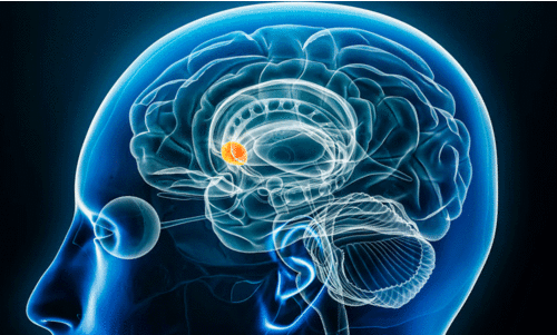സ​ന്തോ​ഷ വ​ർ​ഷ​ത്തി​ന് നാച്വറൽ ഡോ​പ​മി​ൻ ബൂ​സ്റ്റ​ർ ടി​പ്സ്
