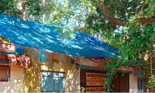 പ്രവർത്തനം തകർന്ന കെട്ടിടത്തിൽ സുരക്ഷയില്ലാതെ നീലേശ്വരത്തെ ഭക്ഷ്യസുരക്ഷ കാര്യാലയം