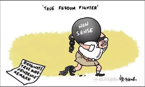 ട്രൂ ഫ്രീഡം ഫൈറ്റർ