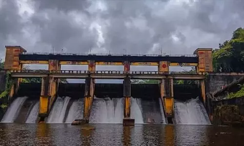 മണിയാർ പദ്ധതി: കെ.എസ്.ഇ.ബിയുടെ എതിർപ്പ് തള്ളി; കരാർ പുതുക്കാൻ മുഖ്യമന്ത്രിയുടെ പച്ചക്കൊടി