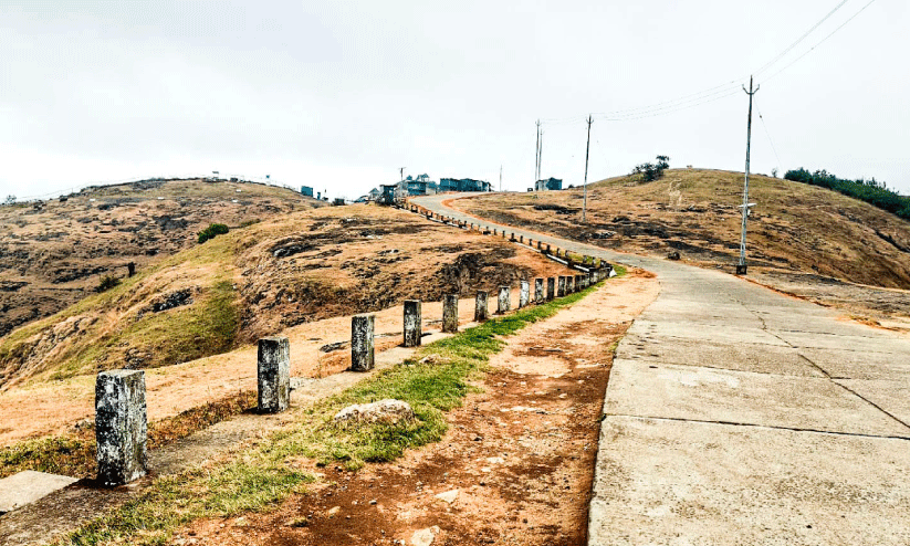 ഹരിതമായി; 2044 സ്ഥാപനങ്ങൾ, 448 സ്കൂളുകൾ ഹരിതമായി; 2044 സ്ഥാപനങ്ങൾ, 448 സ്കൂളുകൾ