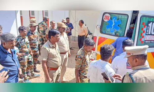 Wild elephant attack