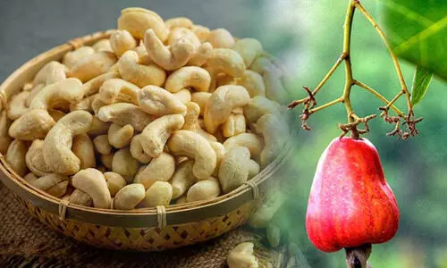 Cashew nuts