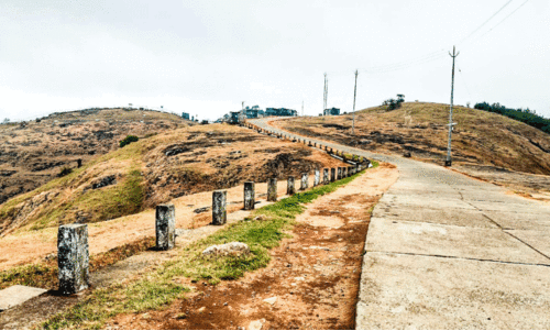 ഹരിതമായി; 2044 സ്ഥാപനങ്ങൾ, 448 സ്കൂളുകൾ