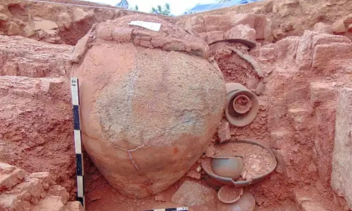 Indias Iron Age began in Tamil Nadu