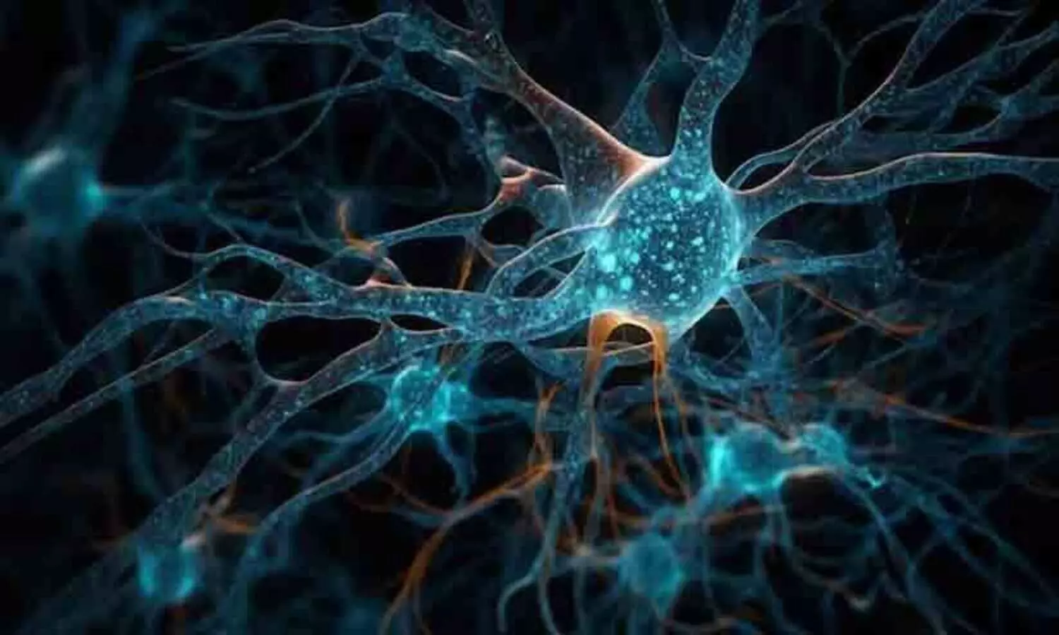 ഗില്ലന്‍ ബാരി സിൻഡ്രോം; മഹാരാഷ്ട്രയിൽ ഒരാൾ മരിച്ചതായി റിപ്പോർട്ട്