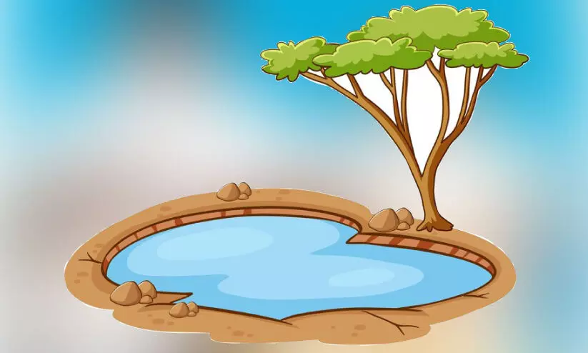 പാലക്കാട് നഗരത്തിലെ കുളങ്ങൾ ‘കാണാനില്ല’