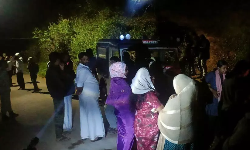 ‘ലക്കിടിയിലൂടെ സ്‌കൂട്ടറിൽ പോകുമ്പോൾ മുന്നിൽ കടുവ ചാടി’ -കടുവയെ കണ്ടതായി യുവാവ്