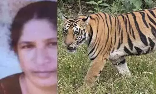 Wayanad Tiger Attack