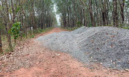 ഗ്രാമീണ റോഡ് പദ്ധതിയുടെ ദിശ മാറ്റി നിർമിക്കാൻ ശ്രമം; പ്രതിഷേധം