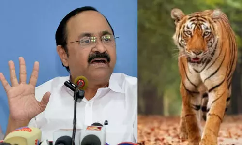 മലയോര ജനതയെ സര്‍ക്കാര്‍ വിധിക്ക് വിട്ടു കൊടുത്തിരിക്കുന്നു- വി.ഡി സതീശൻ