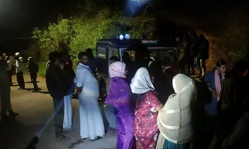 ‘ലക്കിടിയിലൂടെ സ്‌കൂട്ടറിൽ പോകുമ്പോൾ മുന്നിൽ കടുവ ചാടി’ -കടുവയെ കണ്ടതായി യുവാവ്