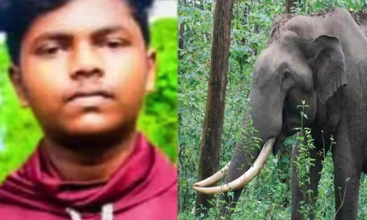 സ്കൂട്ടർ യാത്രികനെ ചവിട്ടിവീഴ്ത്തി വയറിന് കുത്തി കൊമ്പിൽ കോർത്തു; കാട്ടാന ആക്രമണത്തിൽ യുവാവിന് ഗുരുതര പരിക്ക്