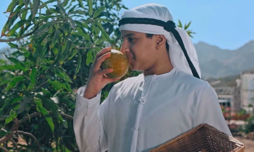 ഹത്ത ഫാമിങ് ഫെസ്റ്റിവൽ 26 വരെ തുടരും