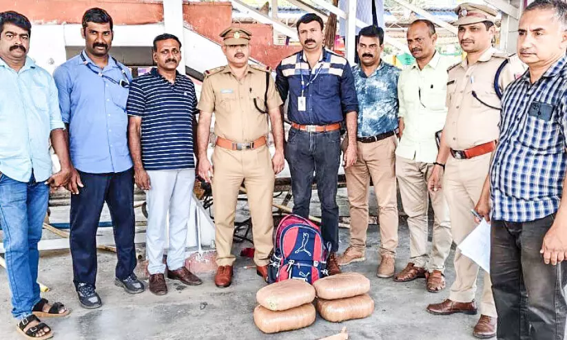 കോട്ടയം റെയിൽവേ സ്റ്റേഷനിൽ 7.1 കിലോ കഞ്ചാവ് പിടികൂടി കോട്ടയം റെയിൽവേ സ്റ്റേഷനിൽ 7.1 കിലോ കഞ്ചാവ് പിടികൂടി