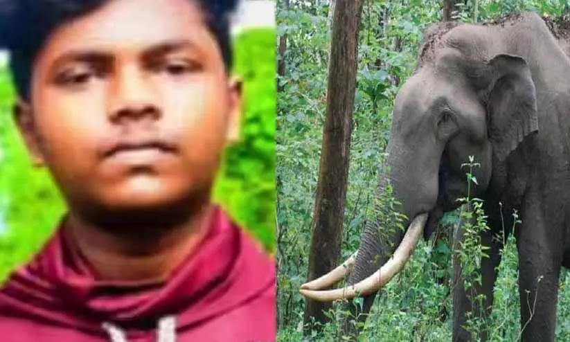 സ്കൂട്ടർ യാത്രികനെ ചവിട്ടിവീഴ്ത്തി വയറിന് കുത്തി കൊമ്പിൽ കോർത്തു; കാട്ടാന ആക്രമണത്തിൽ യുവാവിന് ഗുരുതര പരിക്ക് സ്കൂട്ടർ യാത്രികനെ ചവിട്ടിവീഴ്ത്തി വയറിന് കുത്തി കൊമ്പിൽ കോർത്തു; കാട്ടാന ആക്രമണത്തിൽ യുവാവിന് ഗുരുതര പരിക്ക്