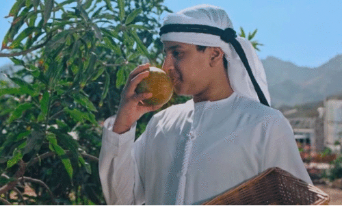 ഹത്ത ഫാമിങ് ഫെസ്റ്റിവൽ 26 വരെ തുടരും