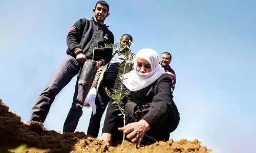 ഒ​ലി​വി​ല​ക​ൾ വീ​ണ്ടും ത​ളി​ർ​ക്കു​മ്പോ​ൾ