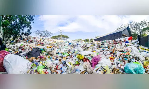 പ്ലാസ്റ്റിക് കൂനകൾ നിറഞ്ഞ് തൃക്കാക്കര നഗരസഭ പരിസരം