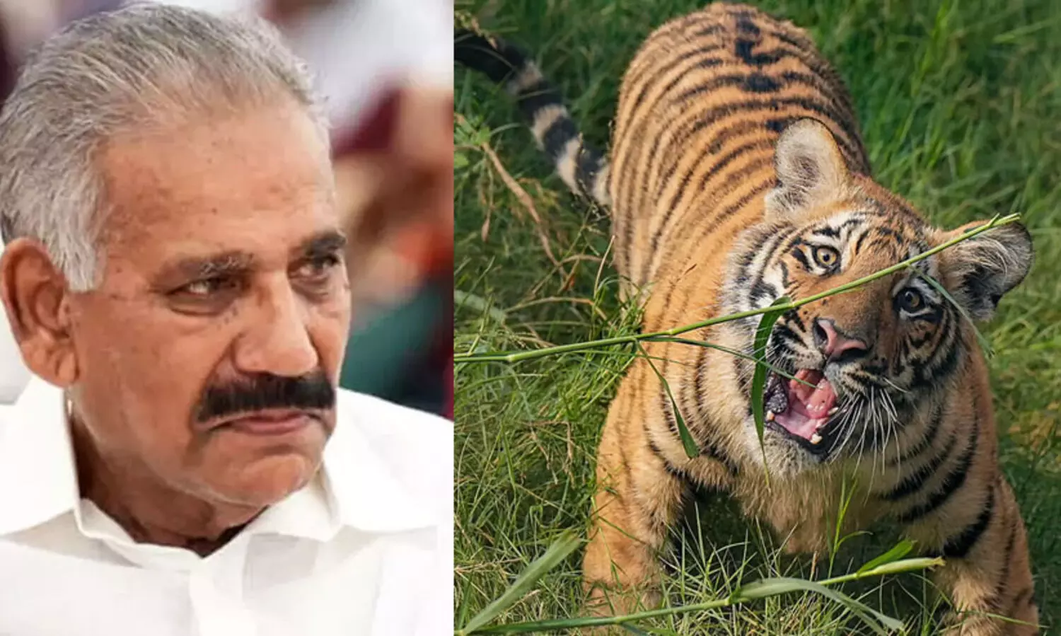 ജനവാസ മേഖലകളില്‍ നിരീക്ഷണം ശക്തിപ്പെടുത്തും-എ.കെ. ശശീന്ദ്രന്‍