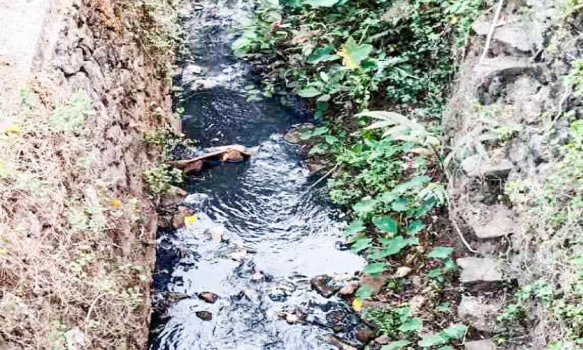 മൂവാറ്റുപുഴയാറിലേക്ക് മലിനജലം; നടപടിക്കൊരുങ്ങി   നഗരസഭ