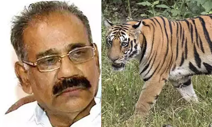 യുവതിയെ ആക്രമിച്ചു കൊലപ്പെടുത്തിയ കടുവയെ നരഭോജി കടുവയായി പ്രഖ്യാപിച്ച് വെടിവെക്കും- എ.കെ. ശശീന്ദ്രന് യുവതിയെ ആക്രമിച്ചു കൊലപ്പെടുത്തിയ കടുവയെ നരഭോജി കടുവയായി പ്രഖ്യാപിച്ച് വെടിവെക്കും- എ.കെ. ശശീന്ദ്രന്