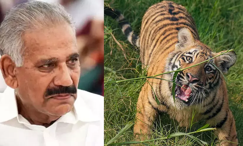 ജനവാസ മേഖലകളില്‍ നിരീക്ഷണം ശക്തിപ്പെടുത്തും-എ.കെ. ശശീന്ദ്രന്‍