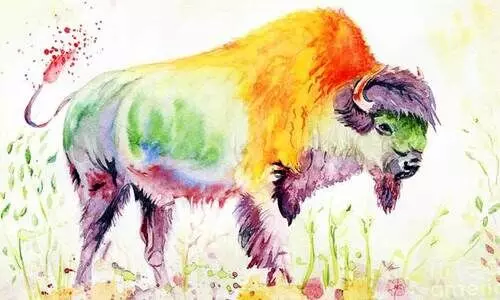 പോത്ത് പോത്ത്