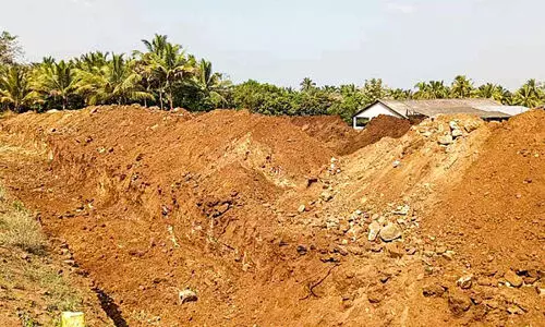 മ​ണ്ണി​ന് പൊ​ന്നു​വി​ല; അ​തി​ർ​ത്തി​യി​ൽ  ഖ​ന​നം വ്യാ​പ​കം