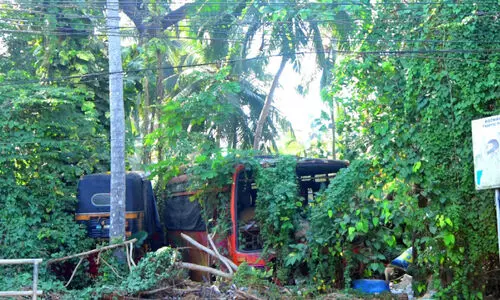 മീഞ്ചന്ത ബസ് സ്റ്റാൻഡ്: ഡി.പി.ആറിന് നടപടിയായി