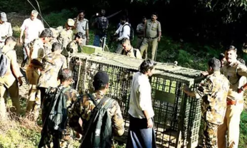 പഞ്ചാരക്കൊല്ലി വിടാതെ നരഭോജി കടുവ; ആർ.ആർ.ടി അംഗത്തെ ആക്രമിച്ചു