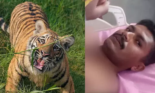 അപ്രതീക്ഷിതമായി കടുവയുടെ ആക്രമണം ഉണ്ടായതിന്‍റെ ഞെട്ടലിലാണ് ആർ.ആർ.ടി സംഘാംഗമായ ജയസൂര്യ