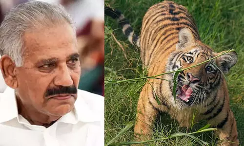 ജനവാസ മേഖലകളില്‍ നിരീക്ഷണം ശക്തിപ്പെടുത്തും-എ.കെ. ശശീന്ദ്രന്‍