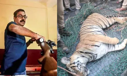 കടുവയെ വെടിവെച്ചിട്ടില്ല; ശരീരത്തിലെ മുറിവുകൾക്ക് ദിവസങ്ങളുടെ പഴക്കം, ഏറ്റുമുട്ടലിൽ സംഭവിച്ചതാകാമെന്ന് അരുൺ സക്കറിയ