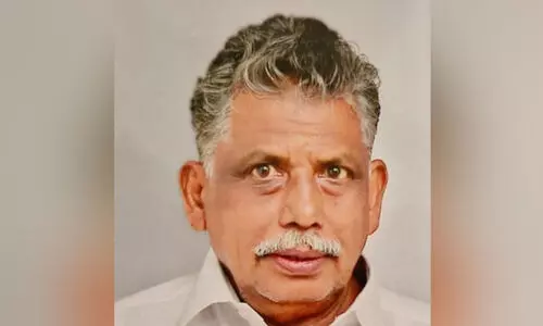 കണ്ണൂരിൽ തേനീച്ചയുടെ കുത്തേറ്റ് ഗൃഹനാഥൻ മരിച്ചു