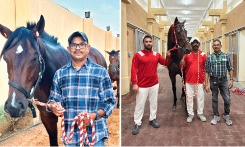 സൗദിയിൽ മൂന്നു പതിറ്റാണ്ട് കുതിര ജീവിതം. ഇന്ന് കുതിരകളുടെ മെയിൻ അസിസ്റ്റന്റ് ട്രെയിനർ. സംഭവബഹുലമാണ് ഈ മലയാളിയുടെ ജീവിതം സൗദിയിൽ മൂന്നു പതിറ്റാണ്ട് കുതിര ജീവിതം. ഇന്ന് കുതിരകളുടെ മെയിൻ അസിസ്റ്റന്റ് ട്രെയിനർ. സംഭവബഹുലമാണ് ഈ മലയാളിയുടെ ജീവിതം