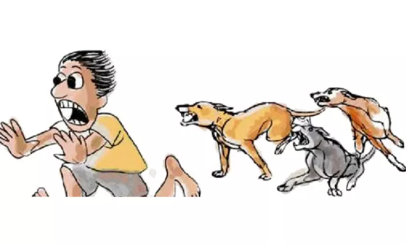 തെ​രു​വു​നാ​യ്​ വ​ന്ധ്യം​ക​ര​ണം: എ.​ബി.​സി കേ​ന്ദ്ര​മി​ല്ലാ​ത്ത​ത്​ ജി​ല്ല​യി​ൽ മാ​ത്രം