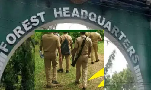 രഹസ്യാന്വേഷണ വിഭാഗം രൂപീകരിക്കാൻ വനംവകുപ്പിന്റെ ഉത്തരവ് രഹസ്യാന്വേഷണ വിഭാഗം രൂപീകരിക്കാൻ വനംവകുപ്പിന്റെ ഉത്തരവ്