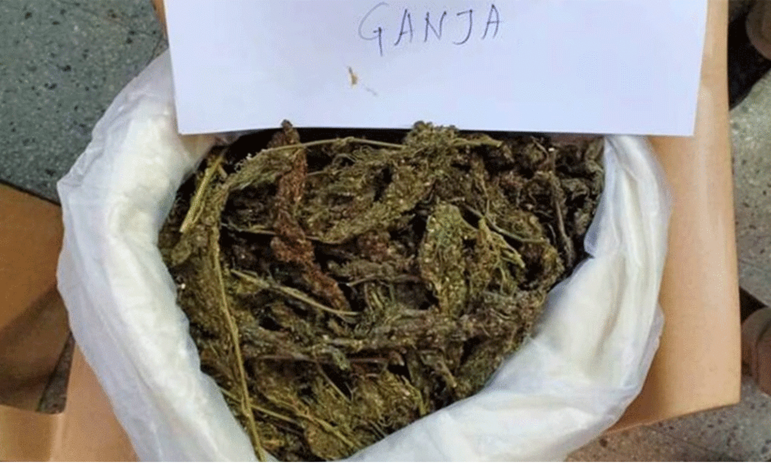 ganja