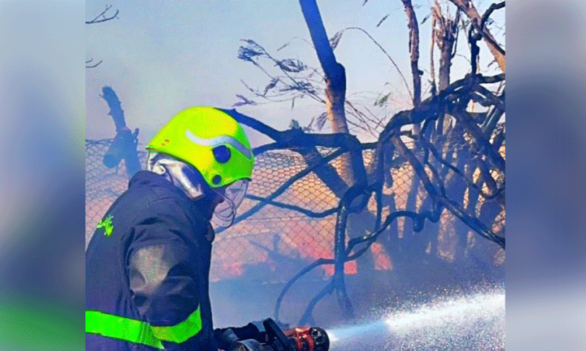 സലാലയില് കൃഷിയിടത്തില് തീപ്പിടിത്തം സലാലയില് കൃഷിയിടത്തില് തീപ്പിടിത്തം