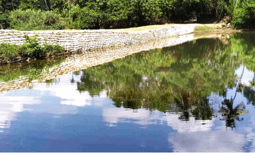 മ​നുഷ്യാവകാശ കമീഷൻ നിര്‍ദേശത്തിന് വിലയില്ല; മണ്‍ചിറ നിര്‍മാണത്തിന് പ്ലാസ്റ്റിക് ചാക്കുകള്‍ തന്നെ