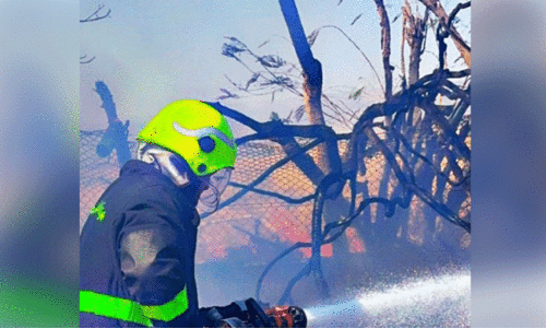 സ​ലാ​ല​യി​ല്‍ കൃ​ഷി​യി​ട​ത്തി​ല്‍ തീ​പ്പി​ടി​ത്തം