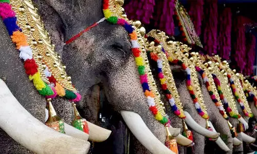 ആനയെഴുന്നള്ളിപ്പ്​: ഏകീകൃത മാനദണ്ഡം പരിഗണിക്കണമെന്ന്​ ഹൈകോടതി